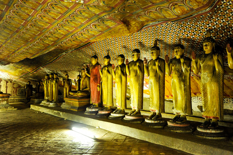 Safari a Sigiriya, Dambulla y Minneriya con servicio de recogida y regreso