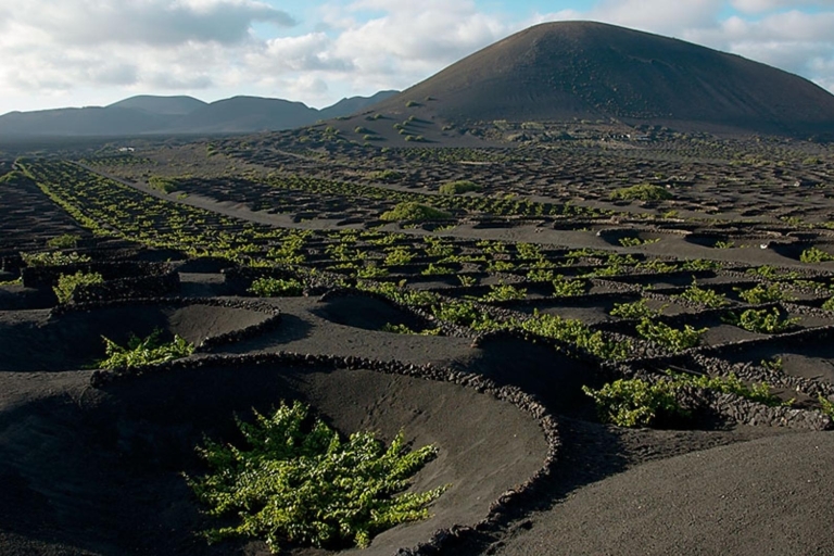 Lanzarote Day Tour of Timanfaya National Park Area Guided Bus Tour from All Areas