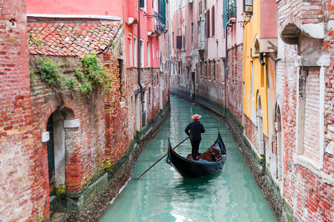 Veneza: excursão a pé privativa com a Basílica de São Marcos