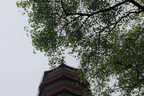 Guangzhou: Temple of the Six Banyan Trees Guided Tour