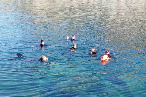 Gran Canaria: Snorkeling Trip