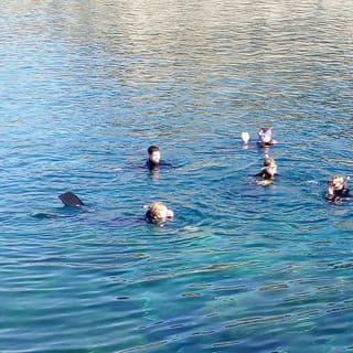 Gran Canaria: Snorkeling Trip