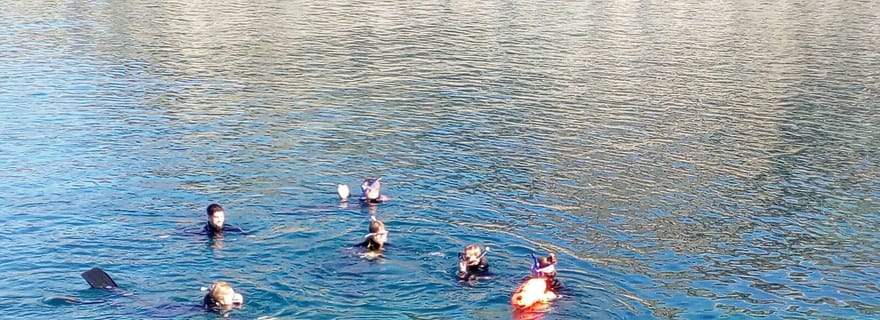 Gran Canaria : Excursion de plongée en apnée