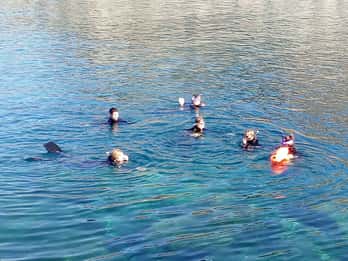 Gran Canaria: Schnorcheltour Gran Canaria: Schnorcheltour