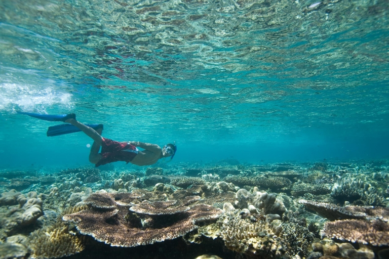 Gran Canaria: Snorkeling Trip Standard Option