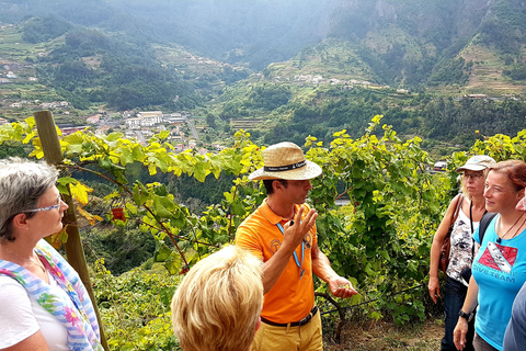 Madeira: Cabo Girão, vinprovning och jeeptur i Serra d&#039;ÁguaMadeira: Jeeptur, Cabo Girão Skywalk och vinprovning