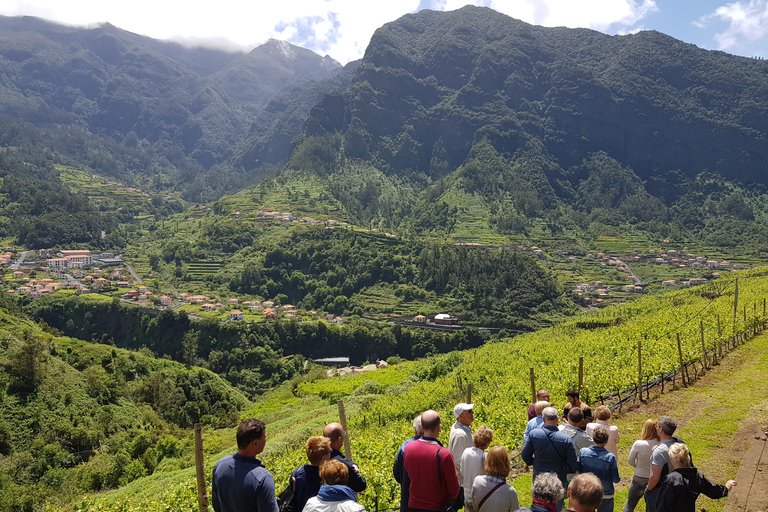 Madeira: Nature & Wine 4x4 Tour vanuit Funchal of Caniço