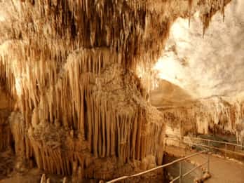 Mallorca: Coves del Drac - Führung Mallorca: Coves del Drac - Führung