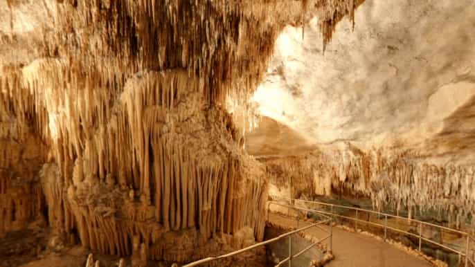 mallorca coves del drac führung