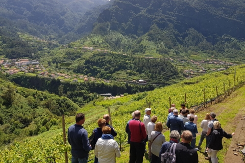 De Funchal: Skywalk d'une journée et visite de dégustation de vins de Madère