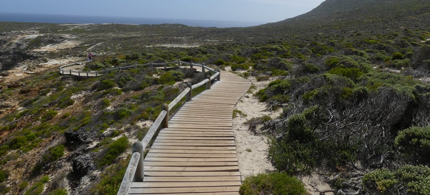 Beste Natur Und Abenteuer Seal Island Kostenlos Stornierbar