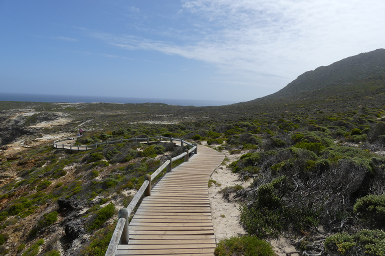 Kaapstad: Kaap Punt en Pinguïnkolonie Dagvullende tour