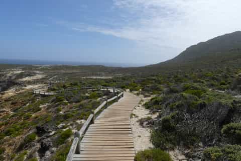Cape Peninsula and Penguin Colony Full Day Shared Tour