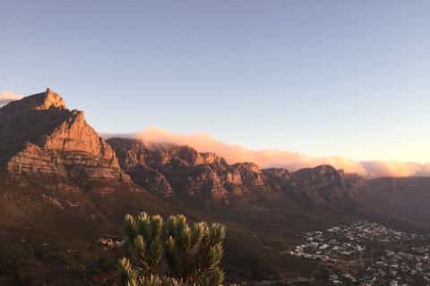 Cape Peninsula and Penguin Colony Full Day Shared Tour