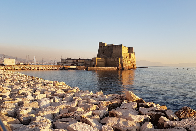 Naples: Wheelchair Friendly City Tour Standard Option