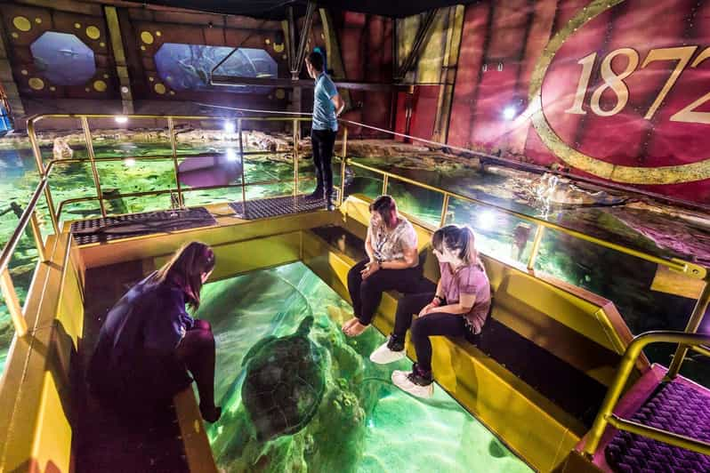 Sea Life Brighton Admission Ticket | GetYourGuide