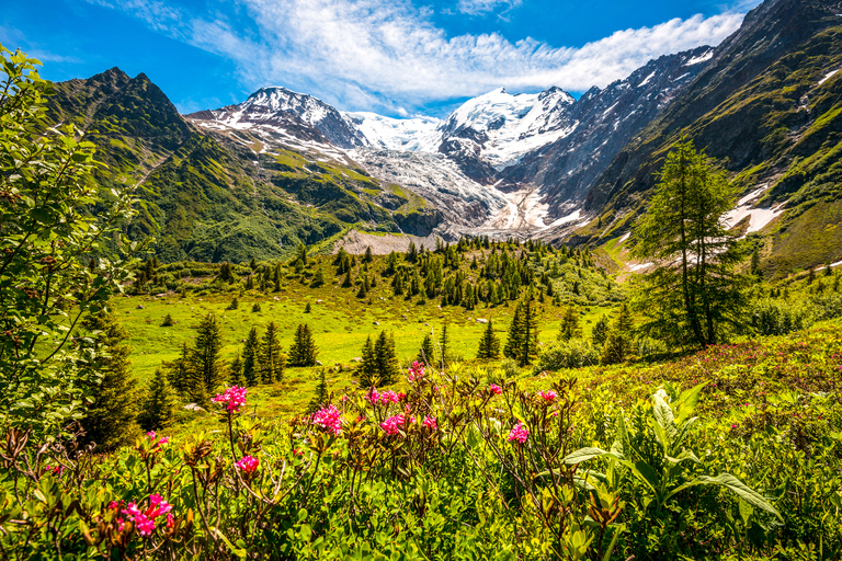 From Geneva: Chamonix Mont-Blanc Private Day Trip Chamonix Private Excursion - Standard Package