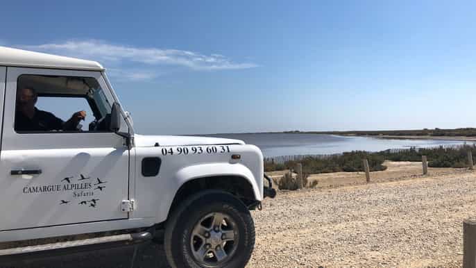 depuis arles safari en camargue dune demijournée en 4x4