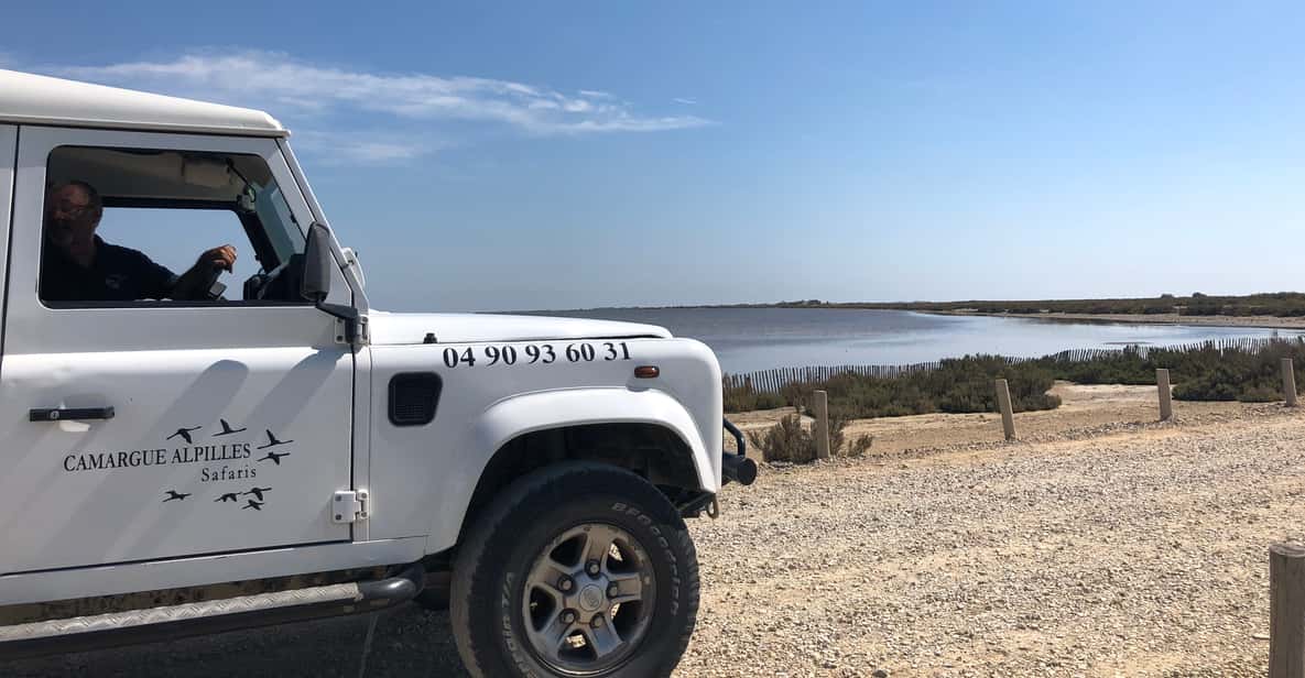 From Arles: Half-Day 4x4 Camargue Safari