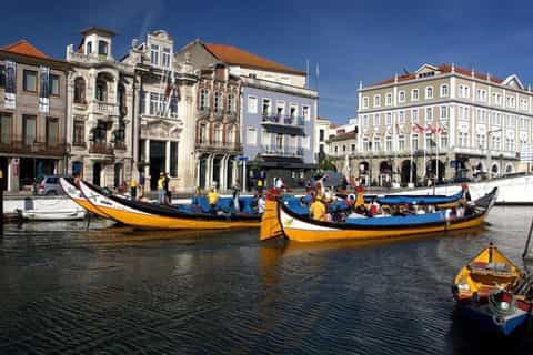 From Porto: Aveiro Private Tour Half Day