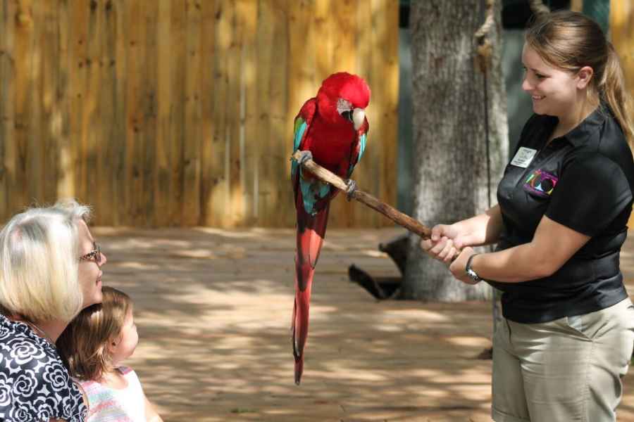 Central Florida Zoo & Botanical Gardens: Eintrittskarte. Foto: GetYourGuide