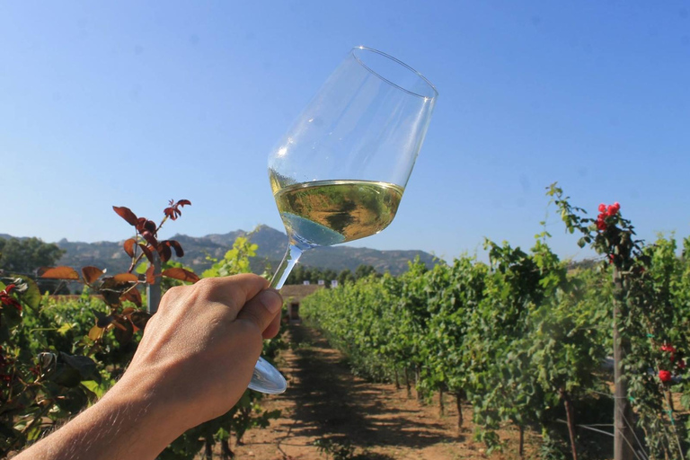 Sardinia: Gallura Wine Tasting Tour