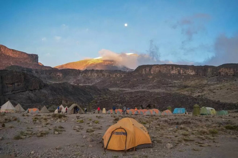 11 Day Kilimanjaro Northern Circuit