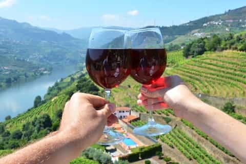 Excursão Particular Vale do Douro saindo do Porto
