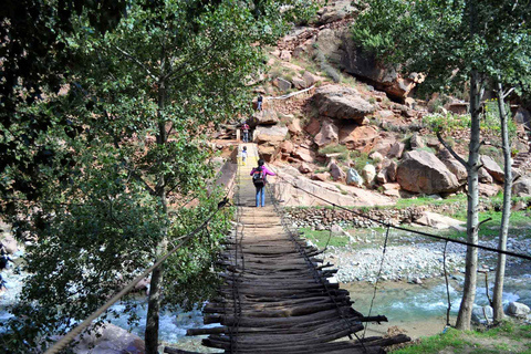 Atlas Ourika Valley Tour Waterfalls River LunchPrivate Trip ourika valley