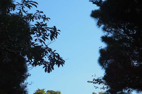 E-Bike Tour in Kyoto with Asuka, Japanese graduate student