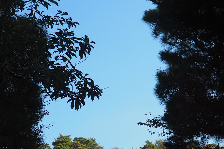 E-Bike Tour in Kyoto with Asuka, Japanese graduate student