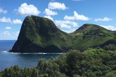 Maui: Private Valley Isle-tour op maat