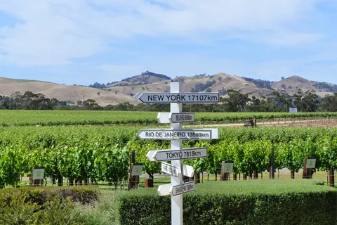 Barossa: Wildlife, Wine Tastings, Brewery, Chocolate & Lunch