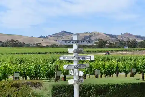 Barossa: Wildlife, Wine Tastings, Brewery, Chocolate & Lunch