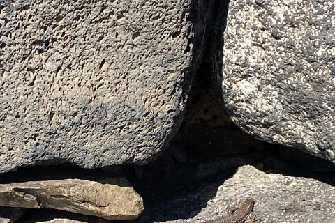 Yerevan: Private Medieval Citadels Tour with Guide