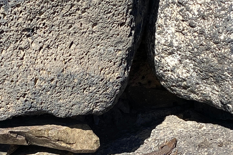 Yerevan: Private Medieval Citadels Tour with Guide