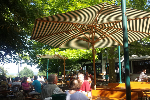 Núremberg: Pub Crawl para Despedidas de Soltero y Soltera