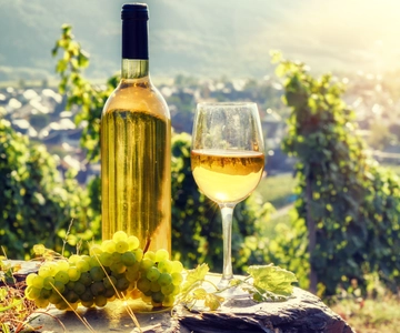 Alsace Half-Day Wine Tour from Strasbourg