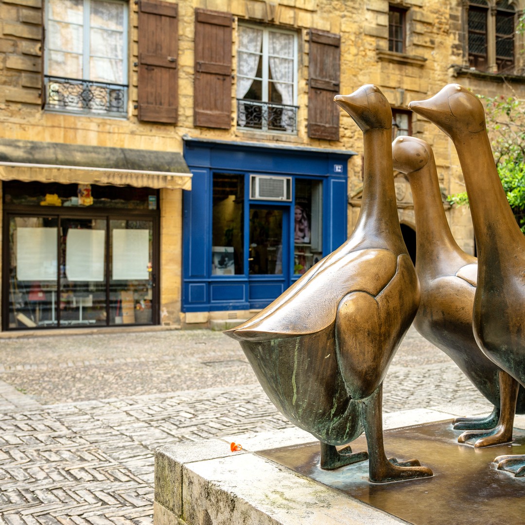 Galerie média