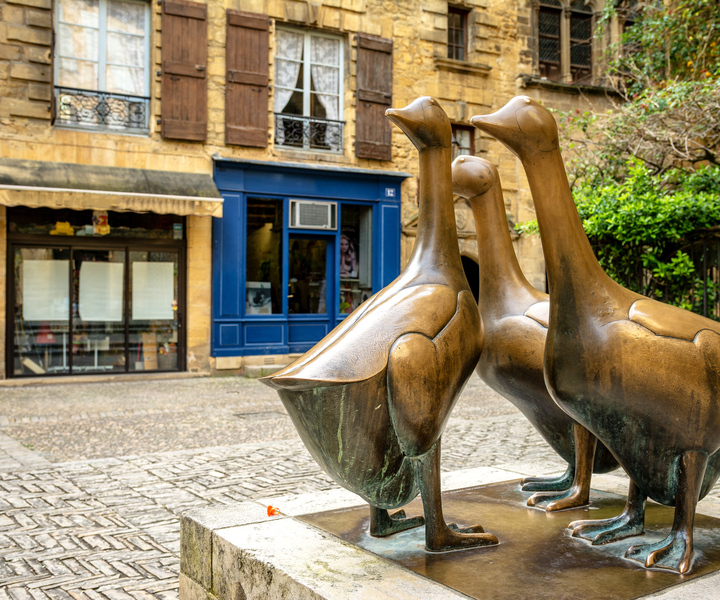 Sarlat Gourmet Tour & Market Visit with Tastings