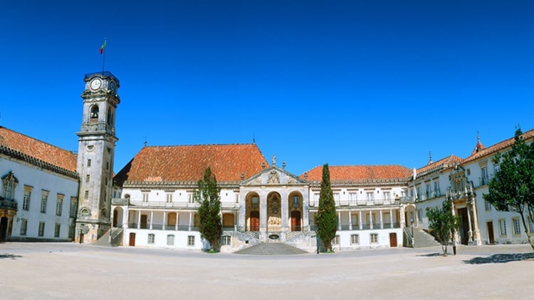 From Porto: Coimbra and Buçaco Palace Full-Day Private Tour