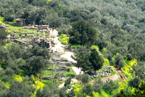From Athens: Delphi Private Hiking Experience