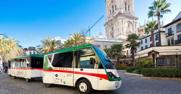 Granada City Train 1 or 2-Day Hop-On Hop-Off Ticket