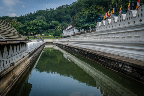 Privat dagstur till Pinnawala och Kandy från NegomboPrivat dagstur till Kandy från Negombo