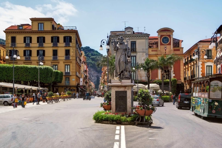 Naples: visite adaptée aux fauteuils roulants de Pompéi et de Sorrente