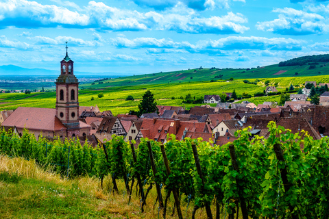 Vanuit Straatsburg: dagtour hoogtepunten van de Elzas