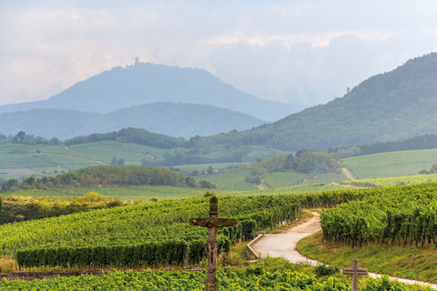 Ab Straßburg: Tagestour zu den Highlights des Elsass