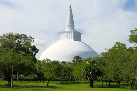 Da Negombo: Escursione di una giornata intera alla città Unesco di AnuradhapuraDa Negombo: viaggio di un&#039;intera giornata nella città UNESCO di Anuradhapura