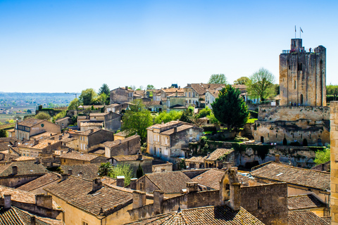 Från Bordeaux: Halv dags tur till St Émilion för vinprovning