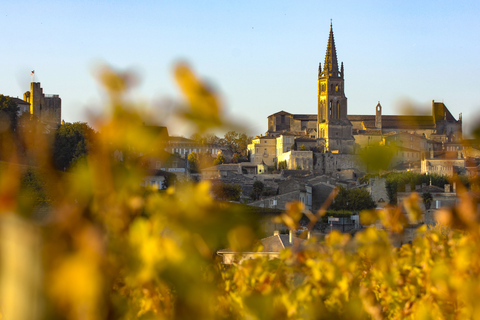 Da Bordeaux: tour enologico di mezza giornata a Saint-Émilion